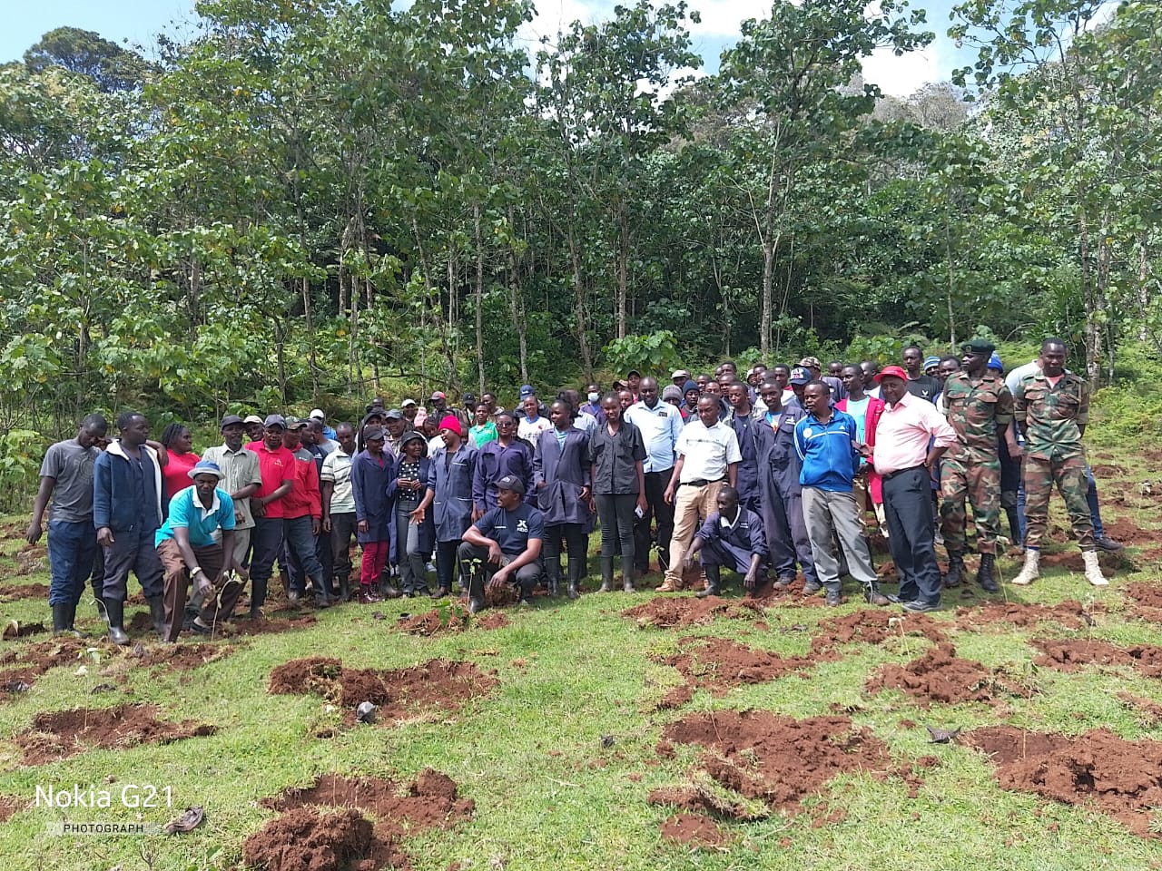 TREE PLANTING CHANGACHICHA